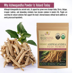 PureAyurbliss Ashwagandha powder tea-mix scene suggests a calming daily ritual