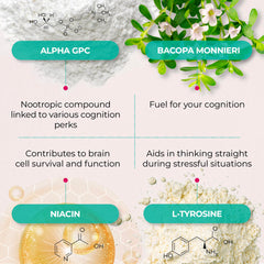 Ageless Brain ingredients close-up showing bacopa and alpha GPC for cognitive support.