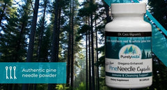 Close-up of pine, spruce, oregano botanicals in PURELY WILD blend.