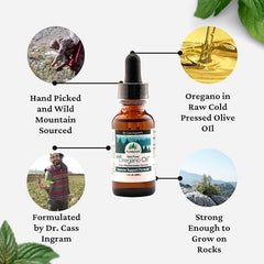 Purely Wild Mediterranean harvest of oregano grown in rocky mountains.