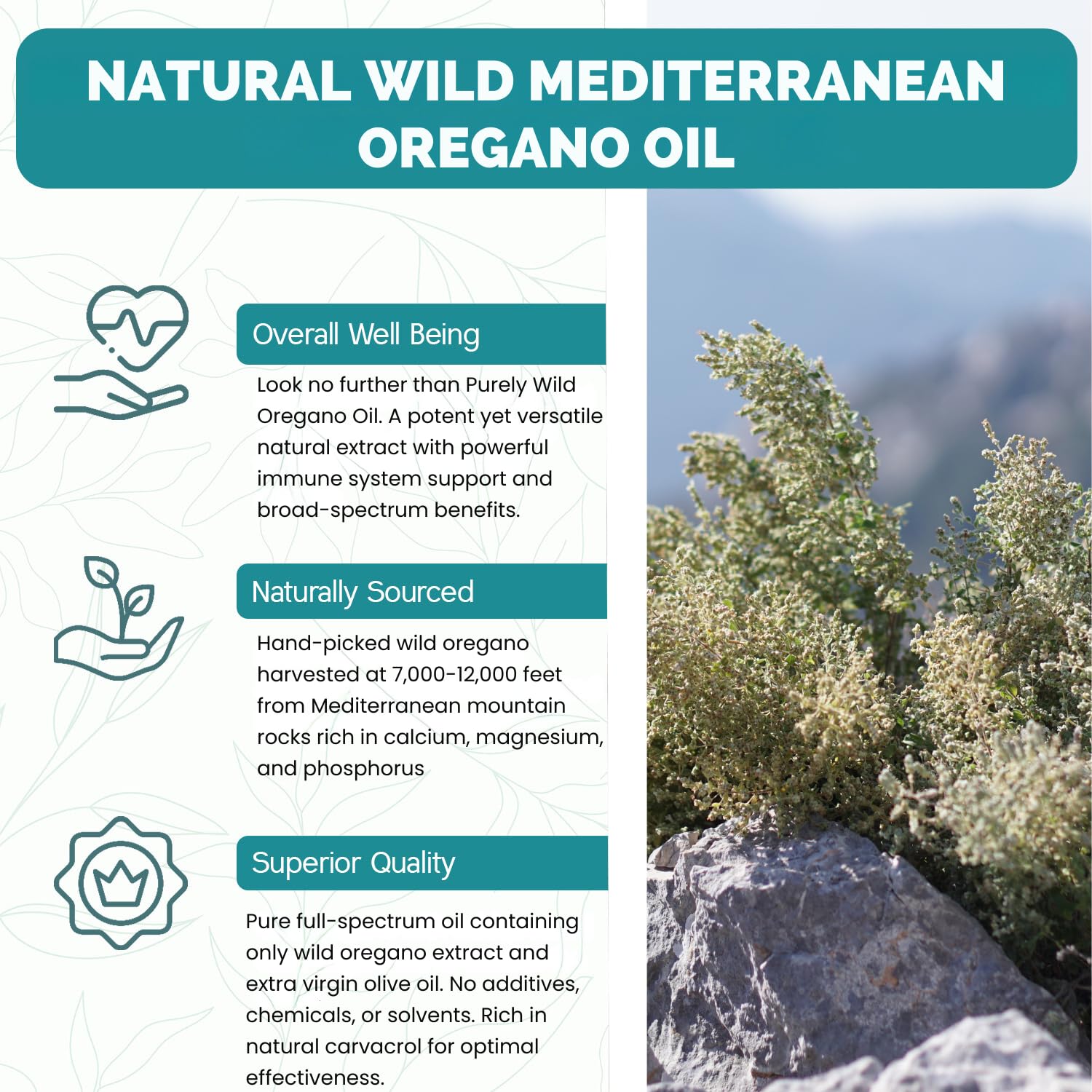 Purely Wild oregano oil drops poured into water for easy dilution.