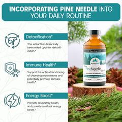 Purely Wild Spruce Needle Extract bottle highlighting full-spectrum forest nutrients.