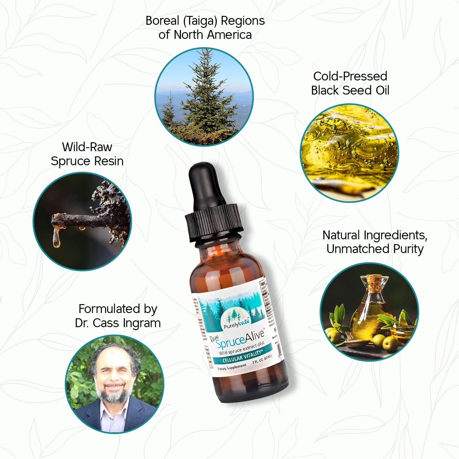 Purely Wild SpruceAlive black seed oil bottle for topical blends
