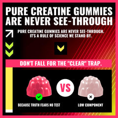 PURESTVITS Creatine Gummy ingredients chart emphasizes vegan, sugar-free formula