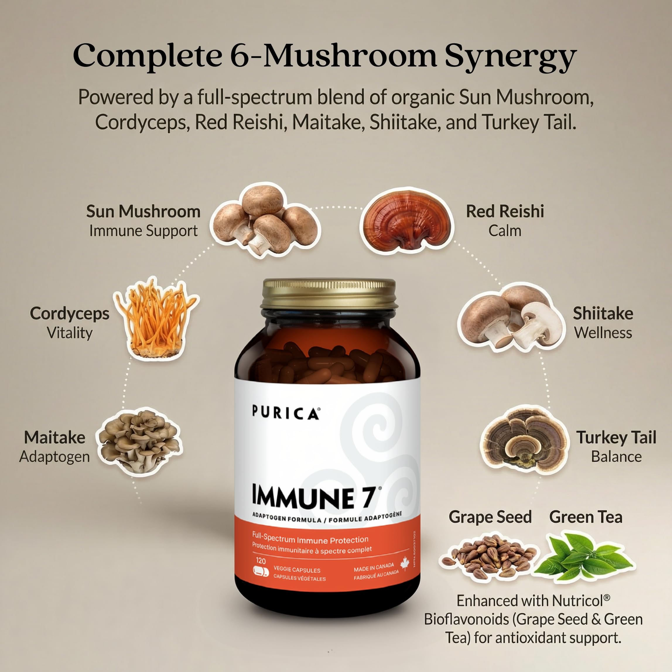 Label detail on PURICA Immune 7 Complex highlighting organic mushrooms