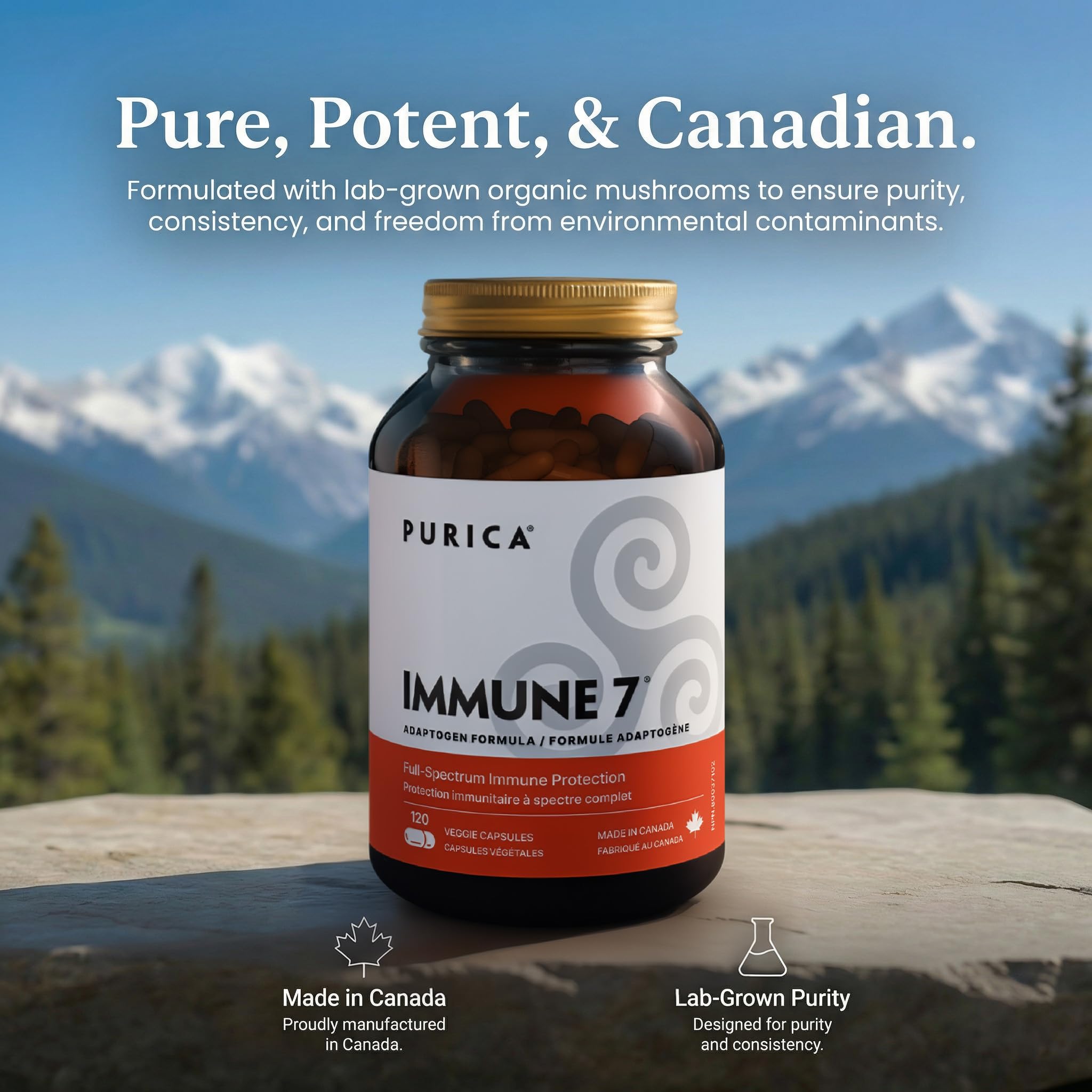 Vegan capsules close-up underscoring plant-based wellness option