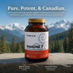 Vegan capsules close-up underscoring plant-based wellness option