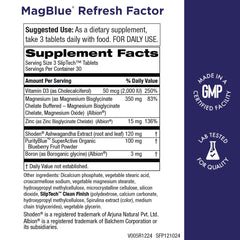 Purity MagBlue Refresh Factor tablet close-up highlighting magnesium for energy.