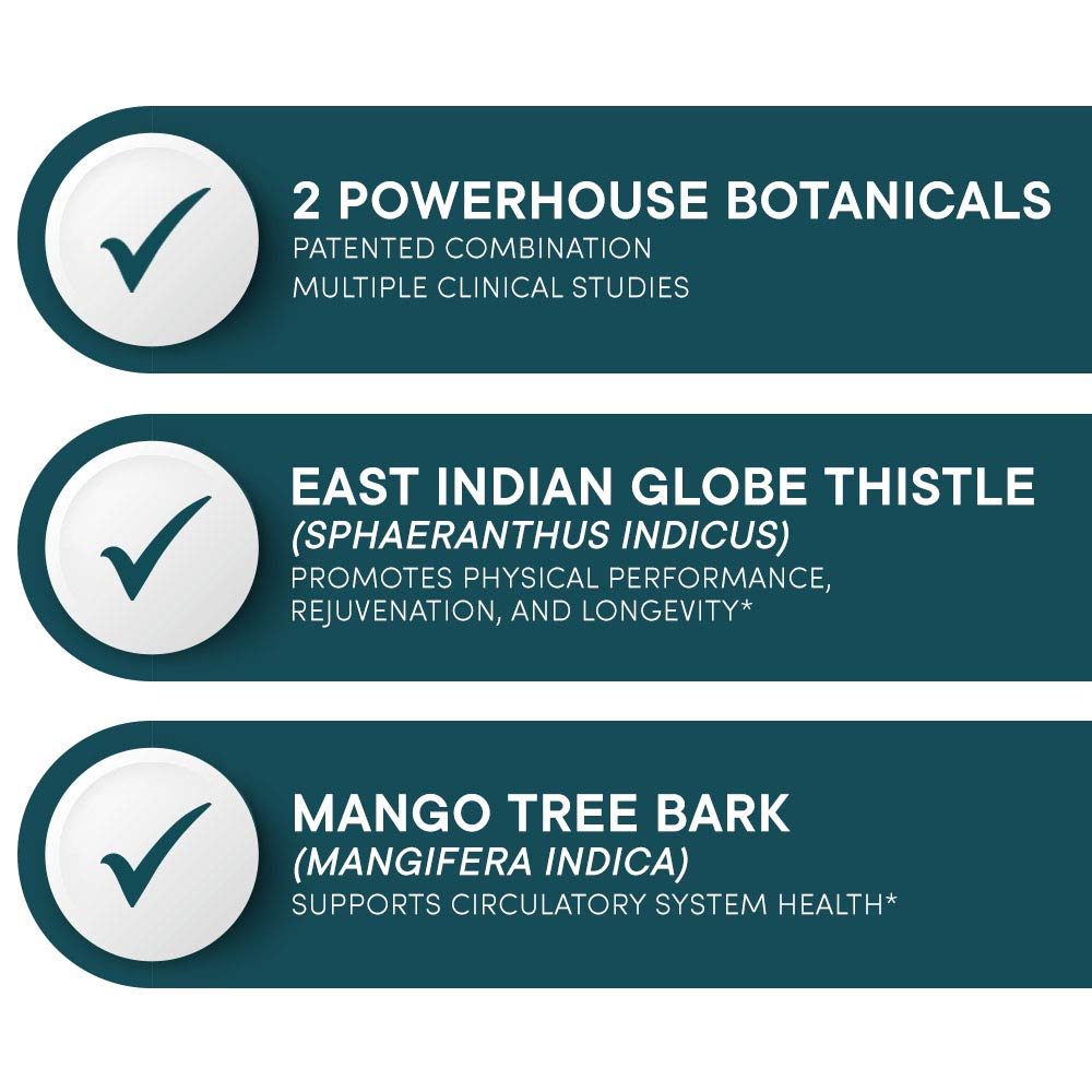 Purity Products Muscle Accelerator blend-ingredient chart shows Globe Thistle and Mango Bark.