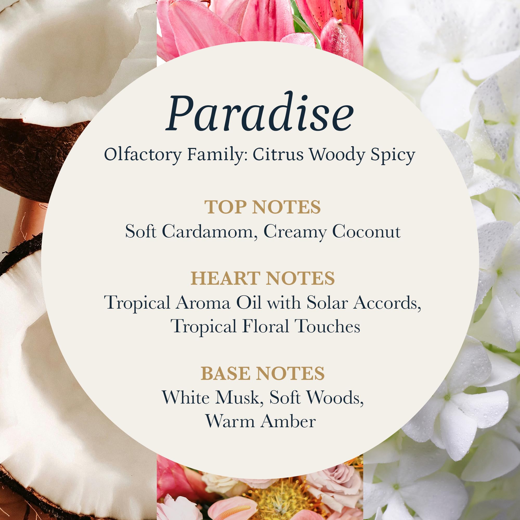 PuroSentido Paradise floral notes accenting hotel lobby ambience.