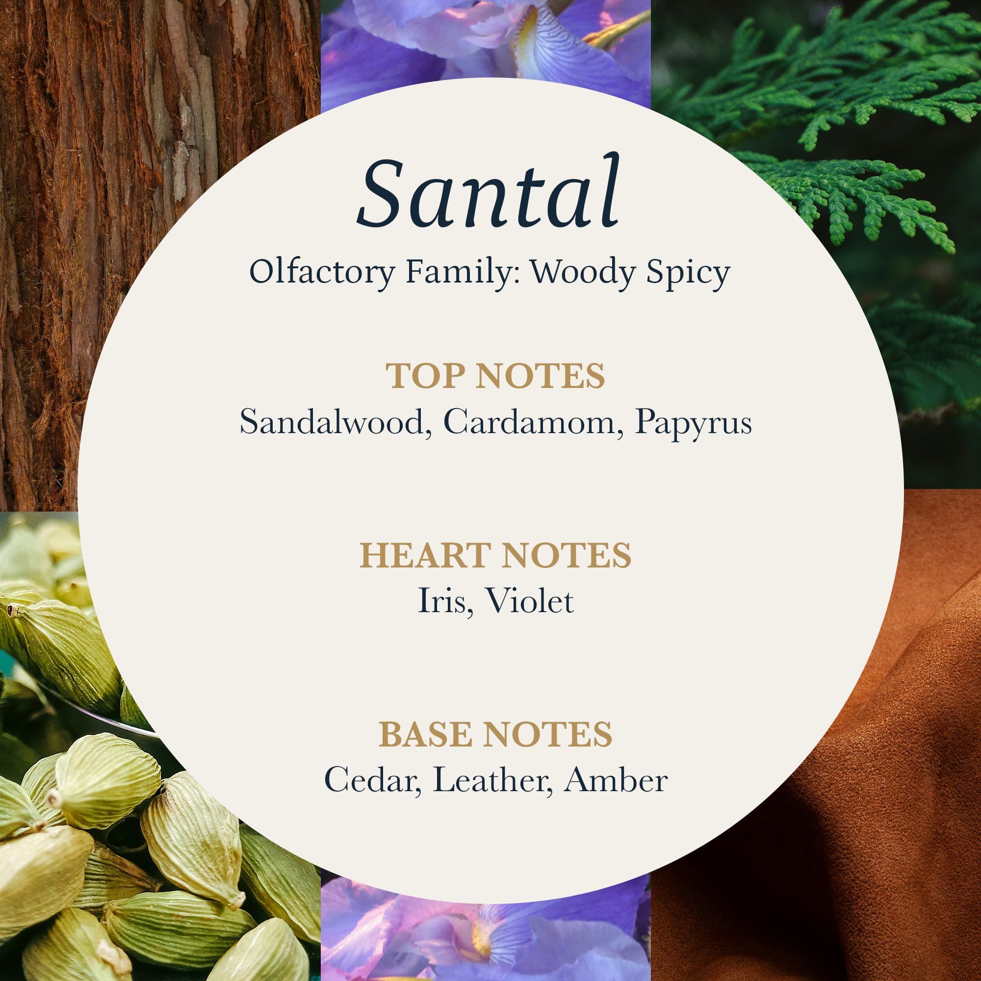 PuroSentido Santal diffuser oil packaging box exudes premium quality for gifting