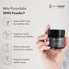 Measuring scoop included with PUROVITALIS NMN powder for precise dosing.