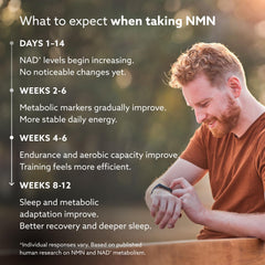 Bottle of PUROVITALIS NMN powder provides 30–60 servings per container.