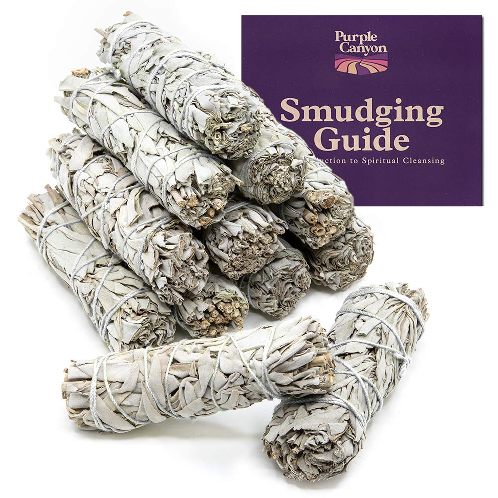 Purple Canyon sage smudge sticks 12-pack ready for cleansing rituals.