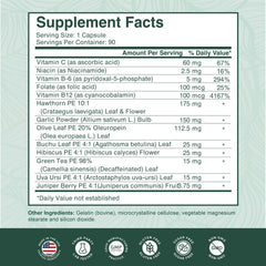 PurPremium Vitamin B12 tablet highlights essential micronutrient support