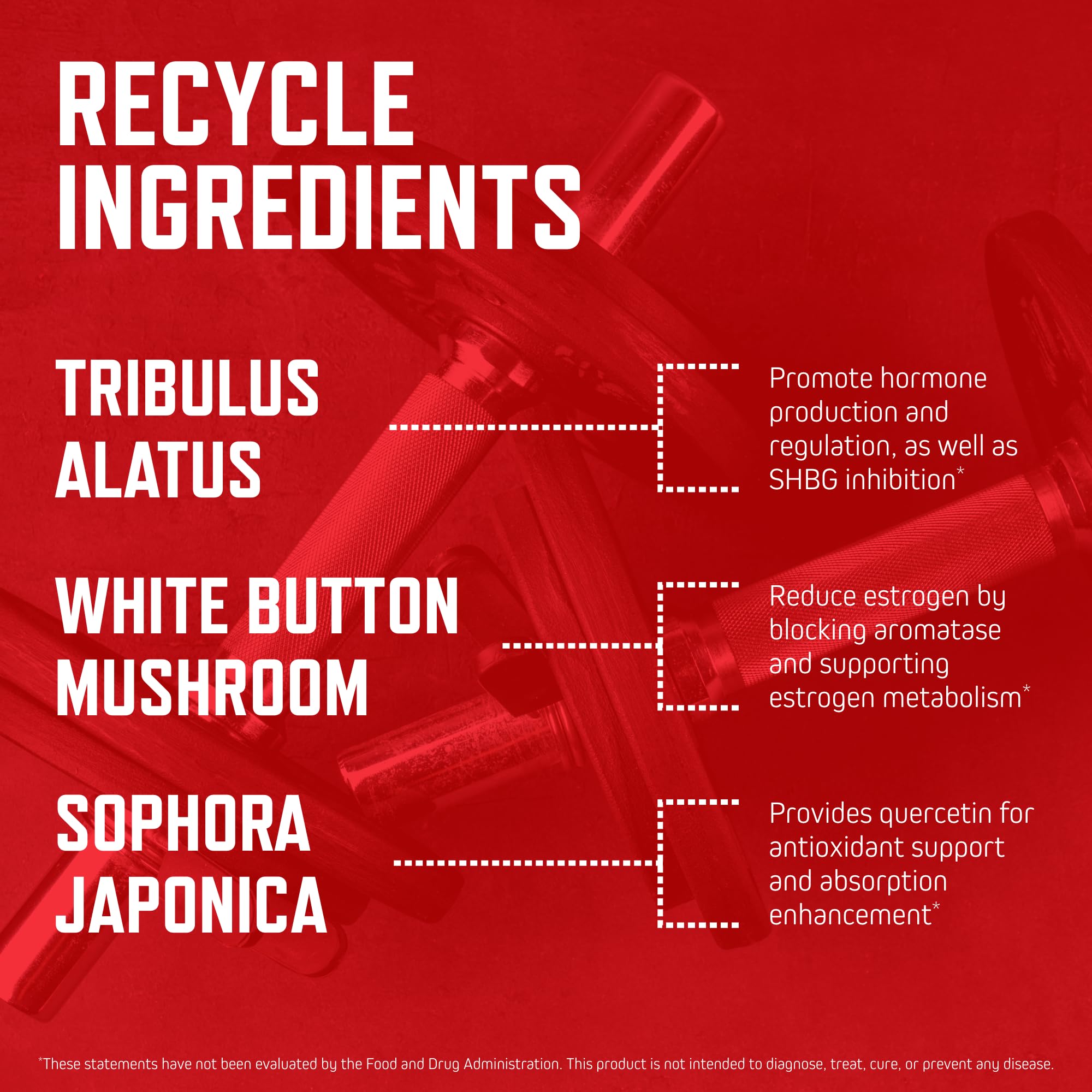 Purus Labs Recycle outer packaging showing box design and product information.