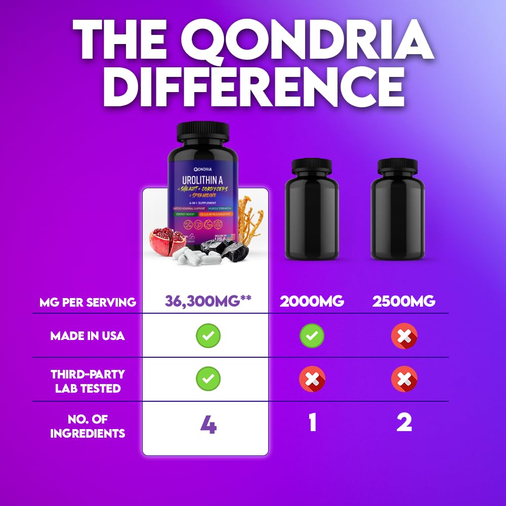 QONDRIA Brain clarity focus visual underscores cognitive support potential