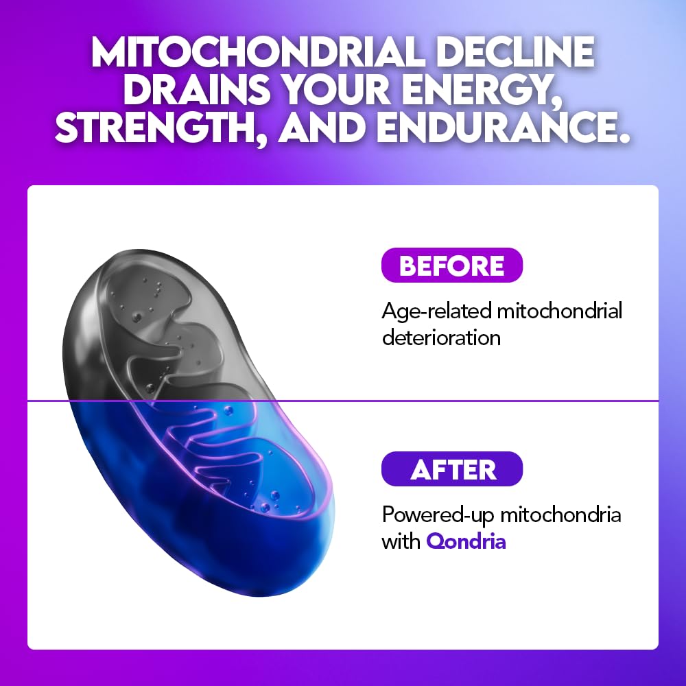 QONDRIA Cordyceps capsules image hints at endurance benefits