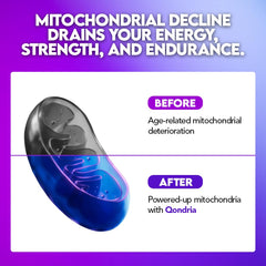 QONDRIA Cordyceps capsules image hints at endurance benefits