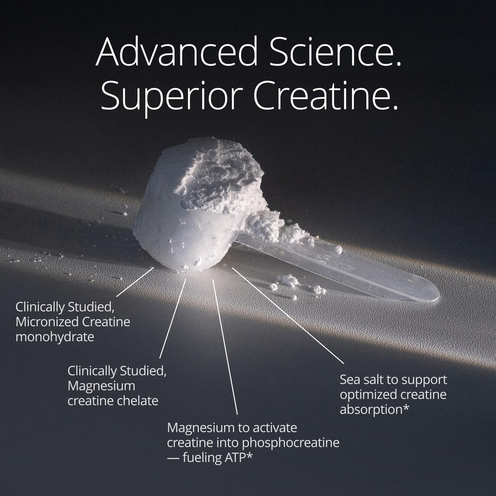 Qualia Creatine Muscle-Performance-Recovery conveys training-ready strength and faster recovery.