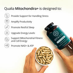 Qualia Mitochondria+ label close-up shows key ingredients and dosing cues.