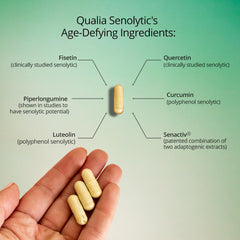 Qualia Senolytic capsules display illustrates a portable daily wellness routine.