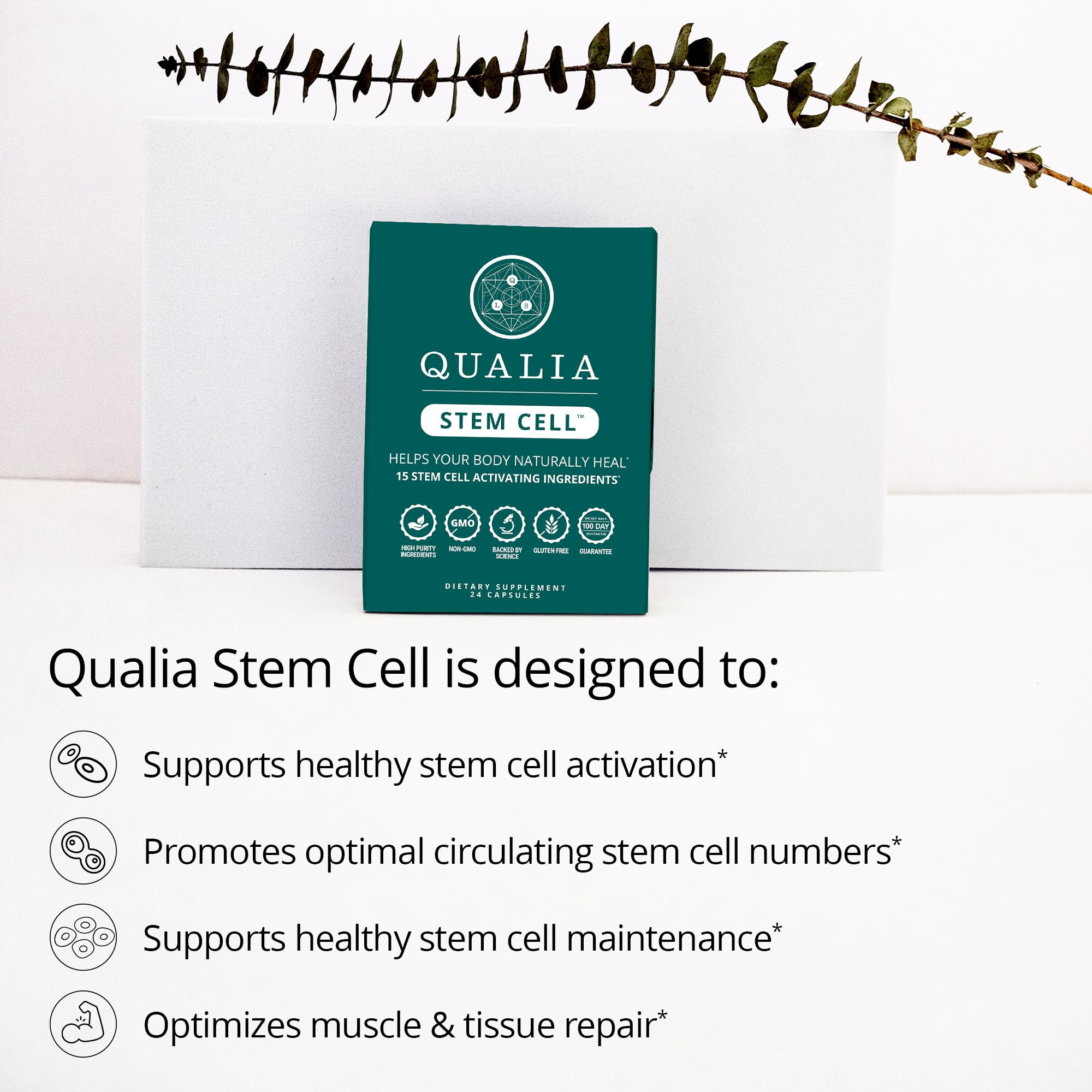 Qualia Stem Cell packaging on a modern kitchen counter for easy access.