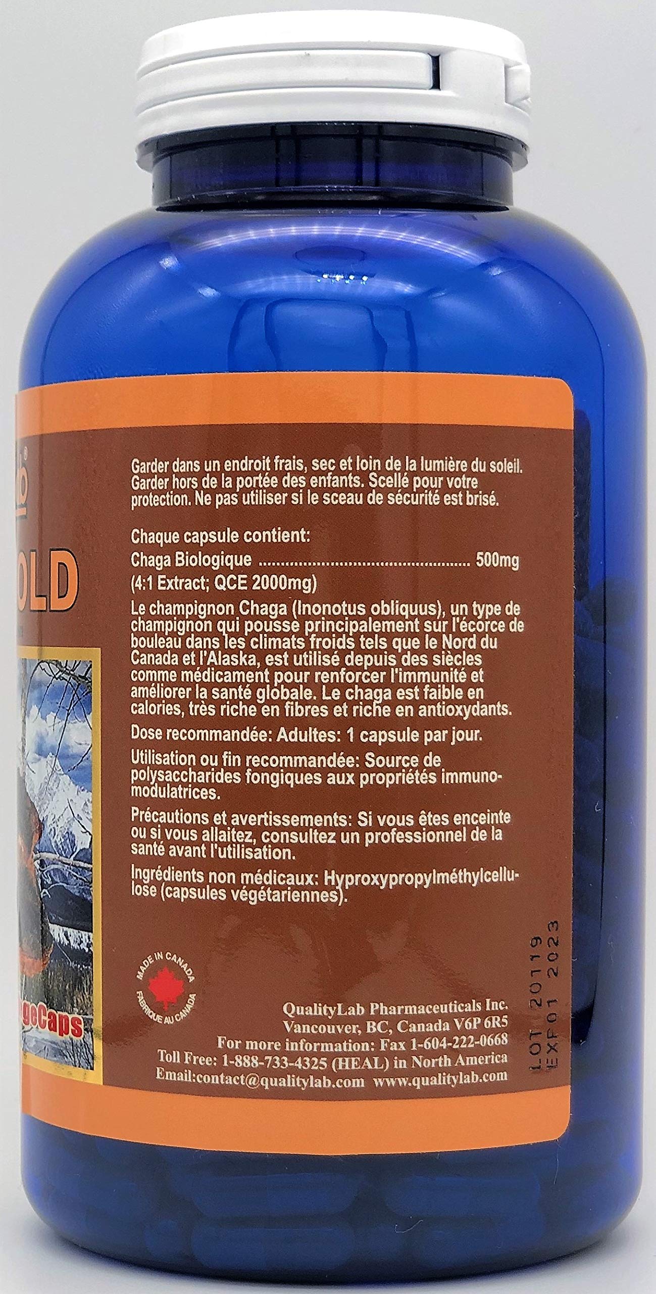 QualityLab Chaga Gold 500 mg capsules close-up highlighting vegan capsules and daily-use convenience
