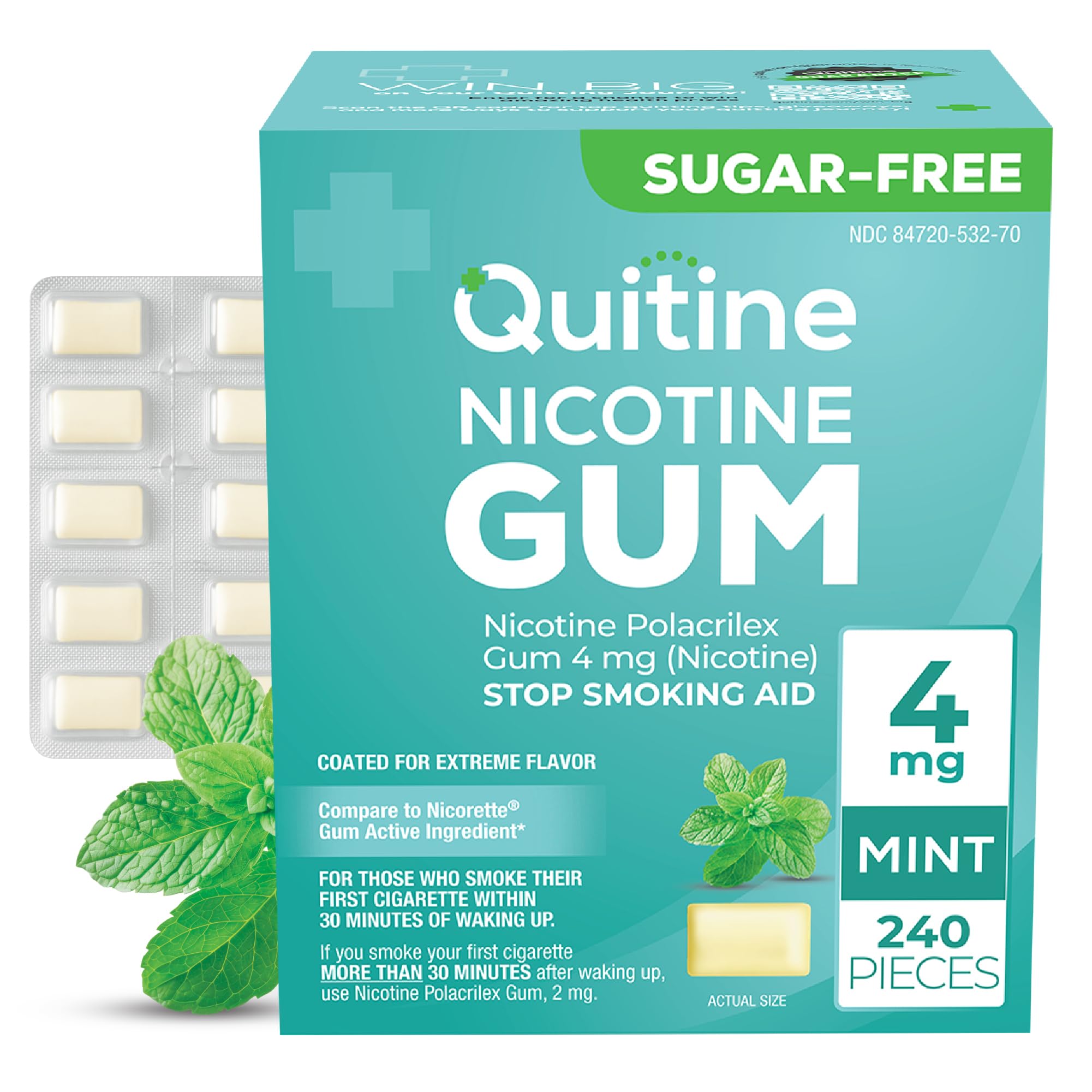 Quitine mint gum 4mg pack front view for quick flavor bursts.