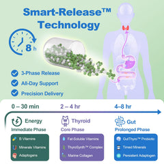 Quorinthiumax three-phase micro-bead capsule close-up for steady daily delivery.