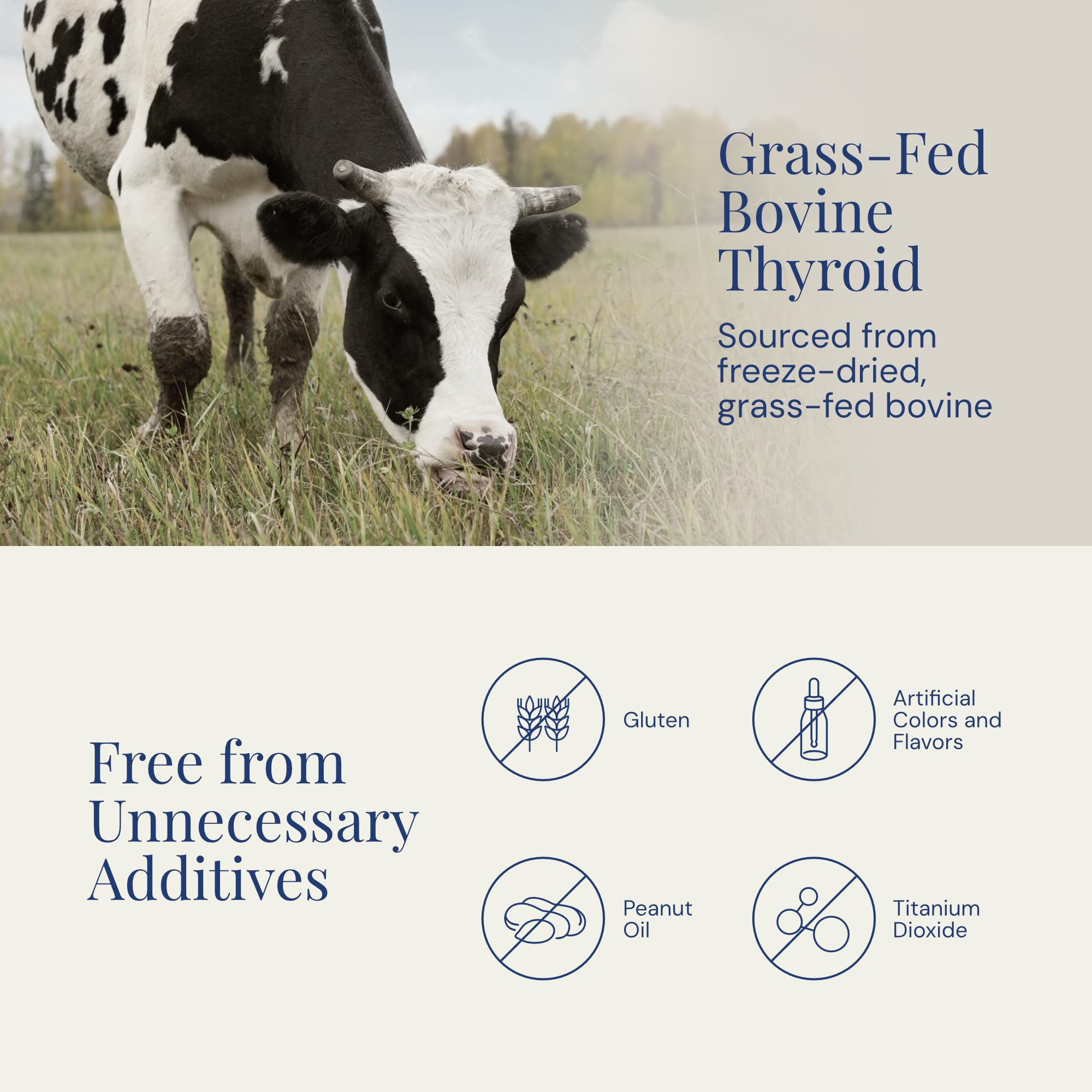 Raena Premium Bovine daily-use routine capsules integrated into busy schedules