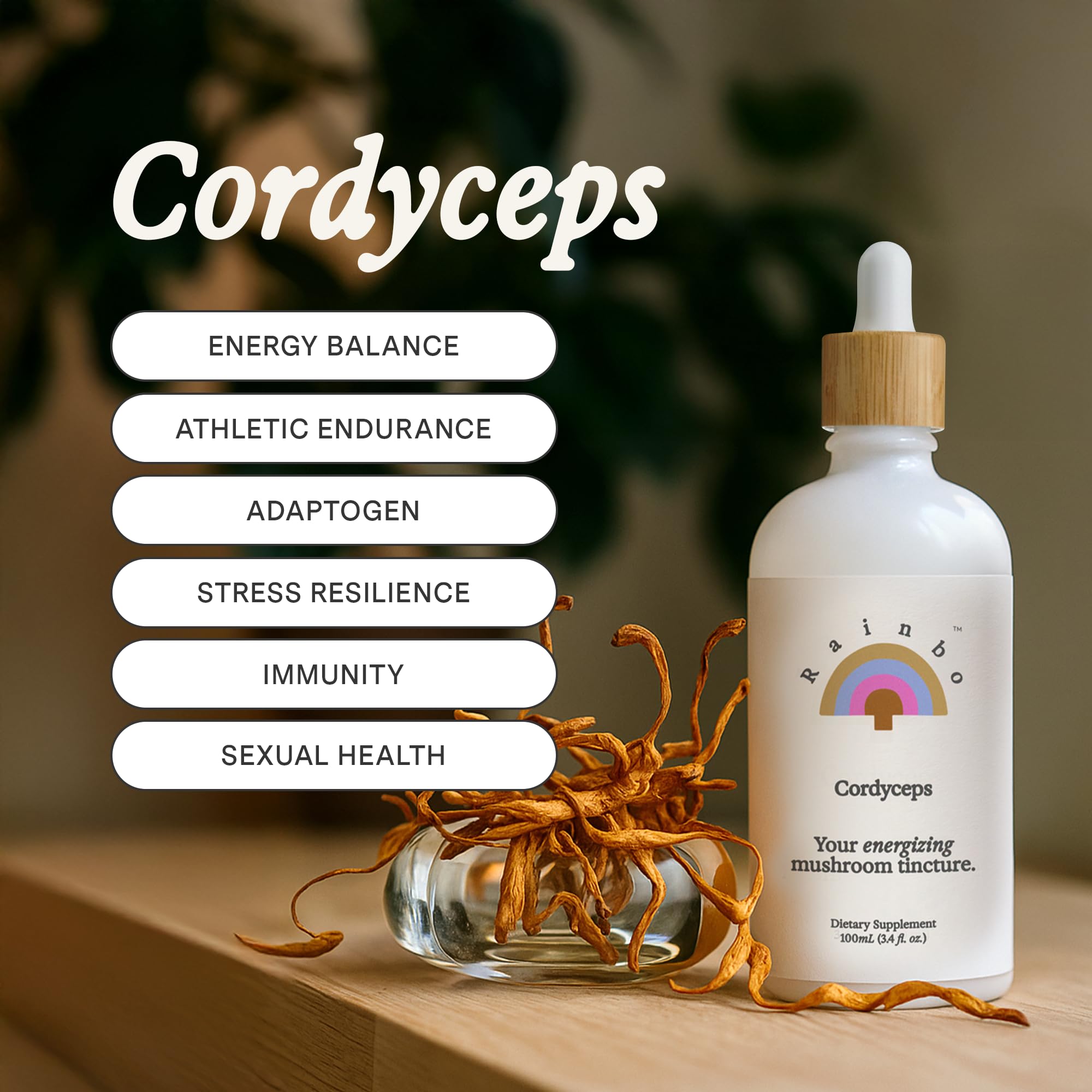 Rainbo Cordyceps tincture dropper enables precise, easy dosing