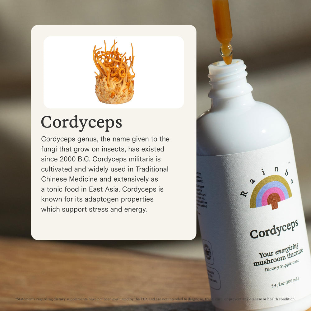 Rainbo Cordyceps tincture pour presents a smooth, alcohol-free daily ritual