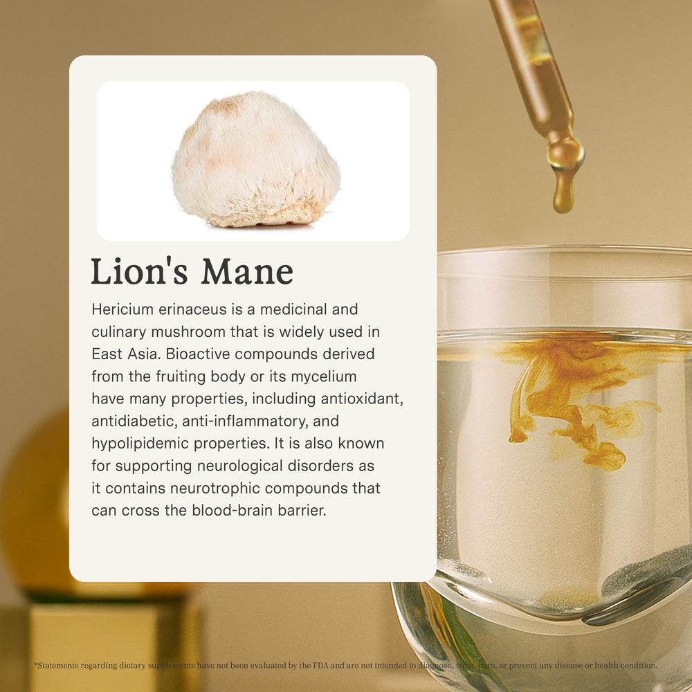 Rainbo Lion's Mane mushrooms close-up highlight premium, sustainably cultivated ingredients