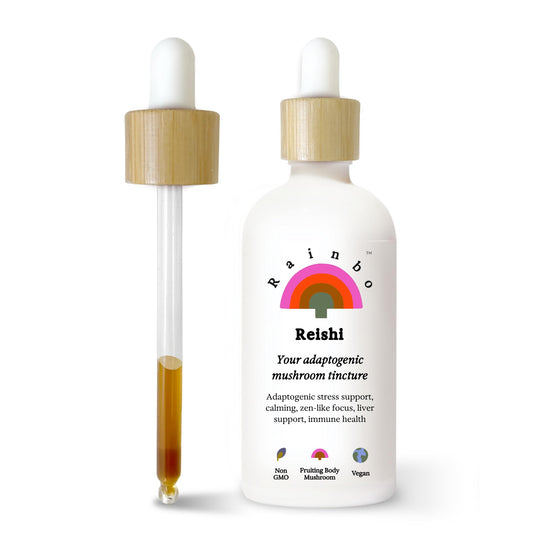 Rainbo Reishi tincture bottle on a kitchen counter for daily wellness.