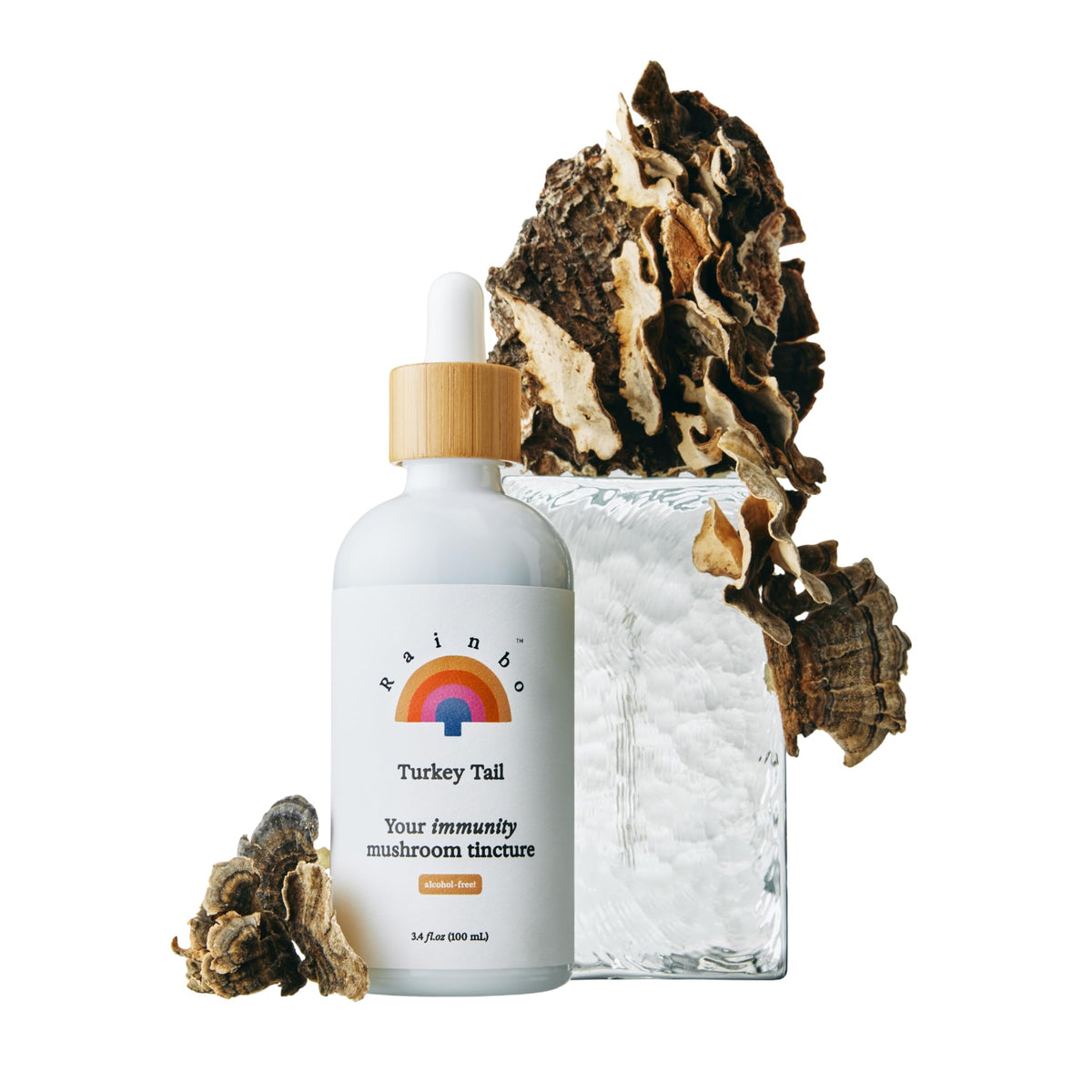 Rainbo Turkey Tail tincture bottle ready for daily immune and gut support.