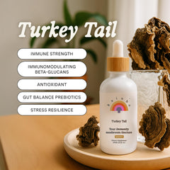 Rainbo Turkey Tail tincture dropper releasing liquid for convenient daily dosing.