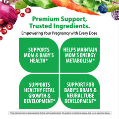 Rainbow Light Prenatal One ginger and probiotic blend capsule scene.