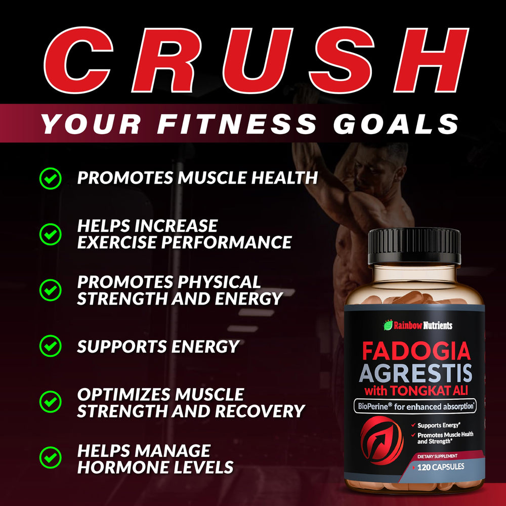 Rainbow Nutrients capsules closeup highlights premium formulation and easy ingestion