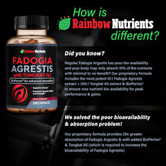 Rainbow Nutrients third-party lab seal attests purity and potency verification