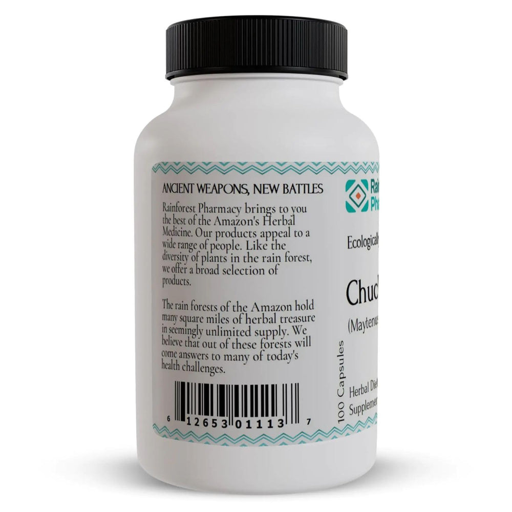 Rainforest Pharmacy Chuchuhuasi bottle in hand for energy and balance.