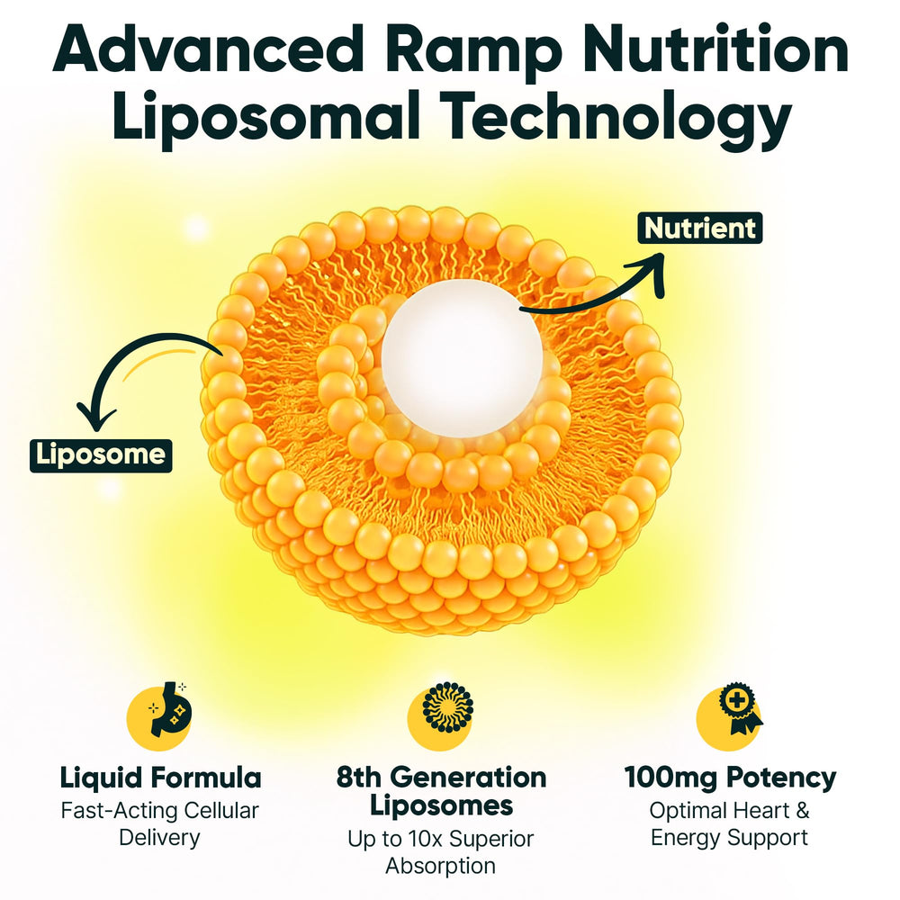 Ramp Nutrition Liposomal CoQ10 liquid ingredients highlight vegan and allergen-friendly profile