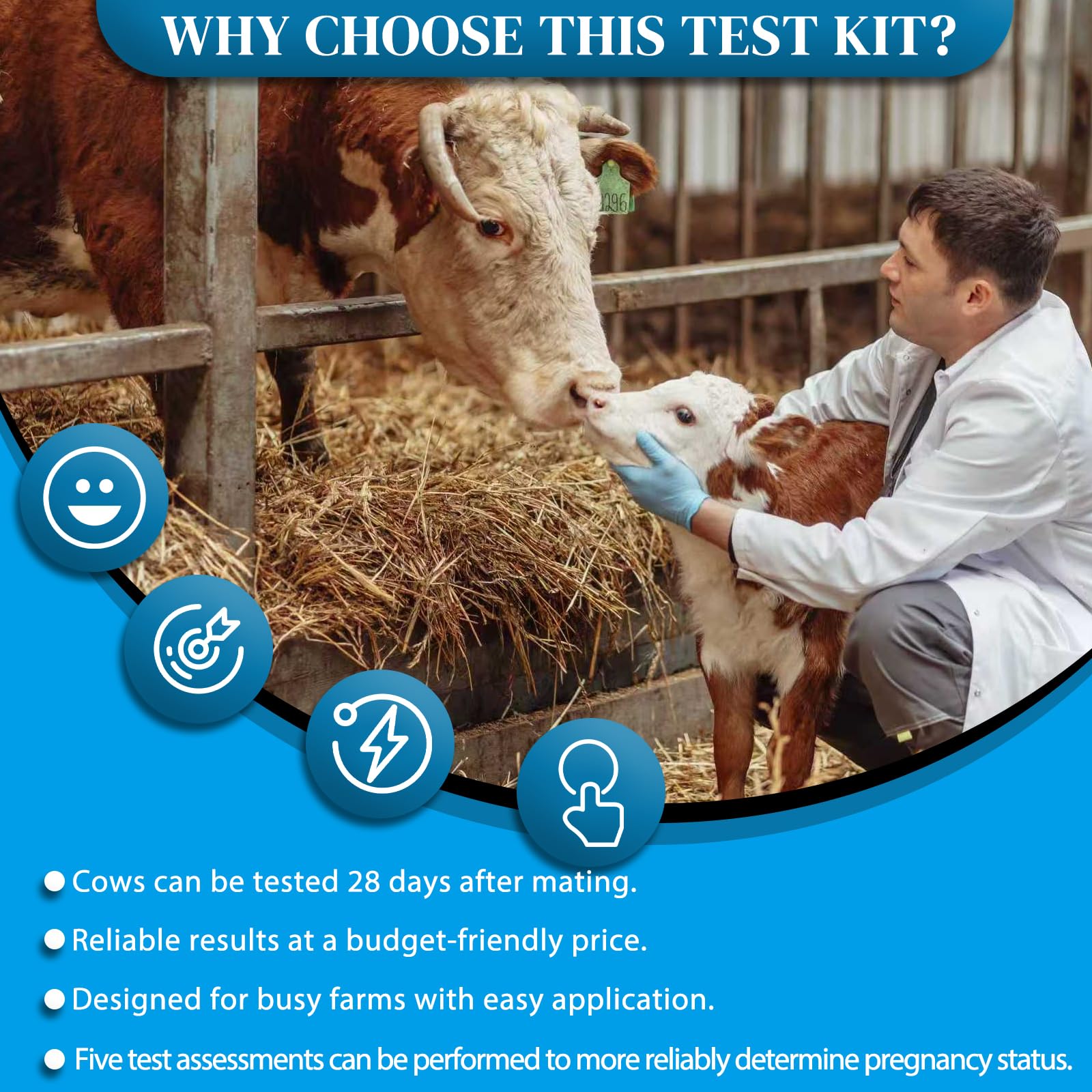 Included contents of the Rapid Bovine Pregnancy Test Kit showing 5 strips