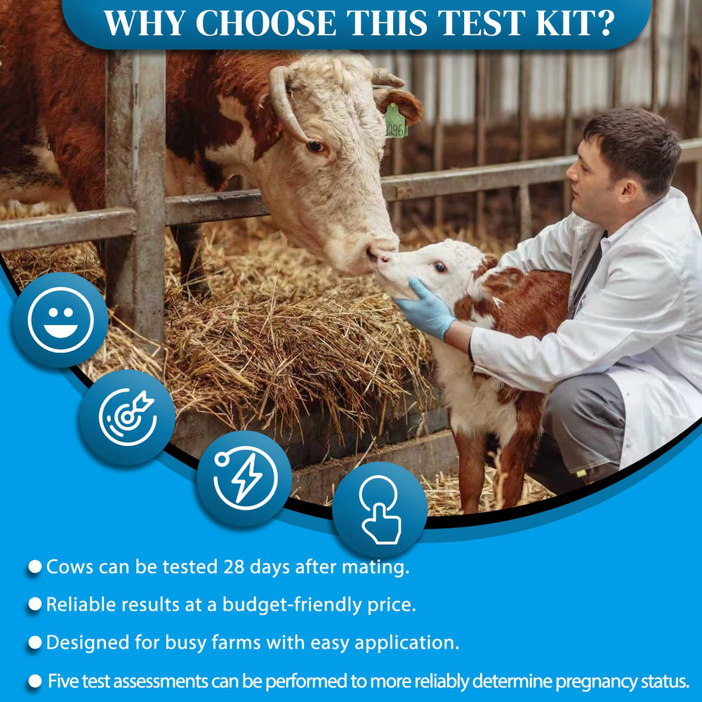 Included contents of the Rapid Bovine Pregnancy Test Kit showing 5 strips