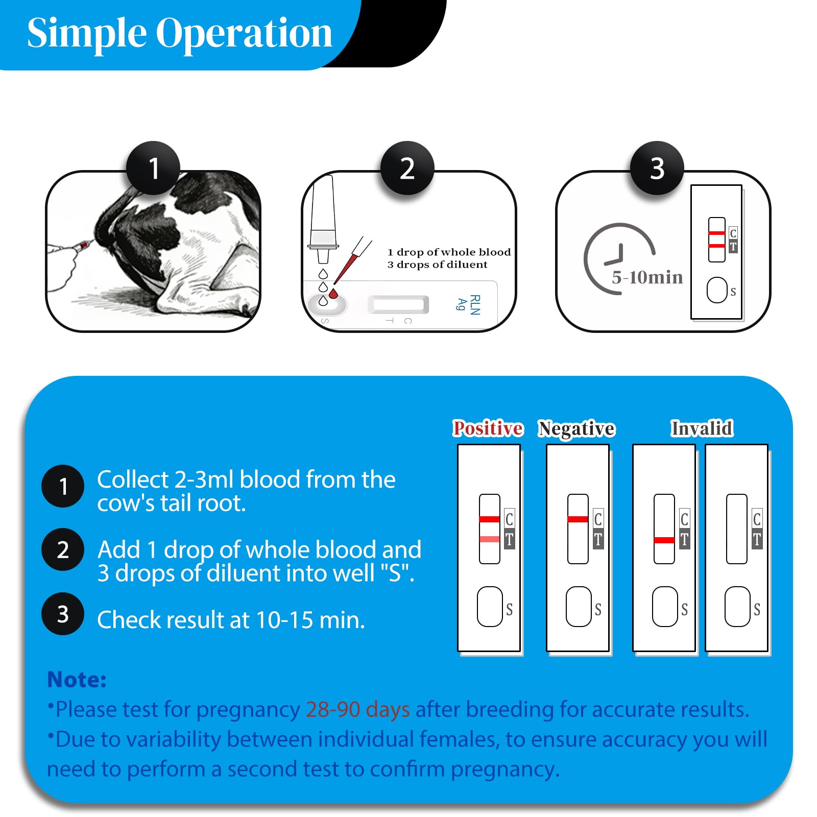 On-farm use of the Rapid Bovine Pregnancy Test Kit with a farmer and cows in a barn