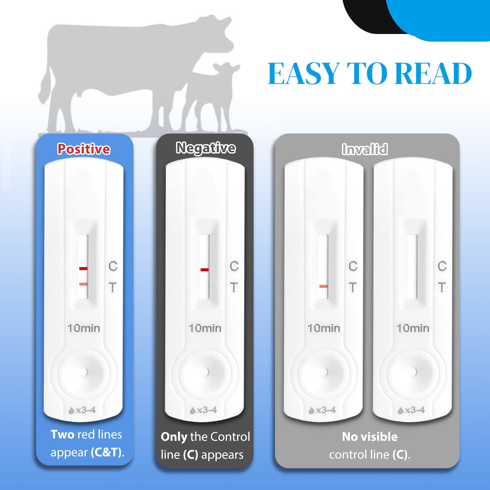 Sample prep with the Rapid Bovine Pregnancy Test Kit illustrating simple workflow