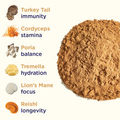 Rasa Magnificent Mushrooms powder dissolving smoothly in hot tea without grit