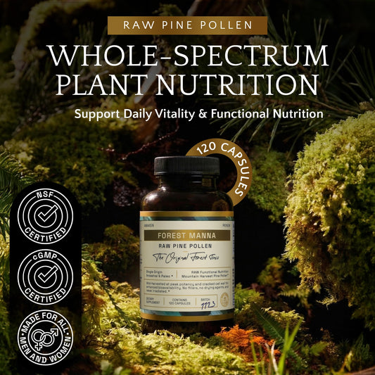 RAW Forest Foods Forest Manna capsules close-up, for daily adaptogenic support.