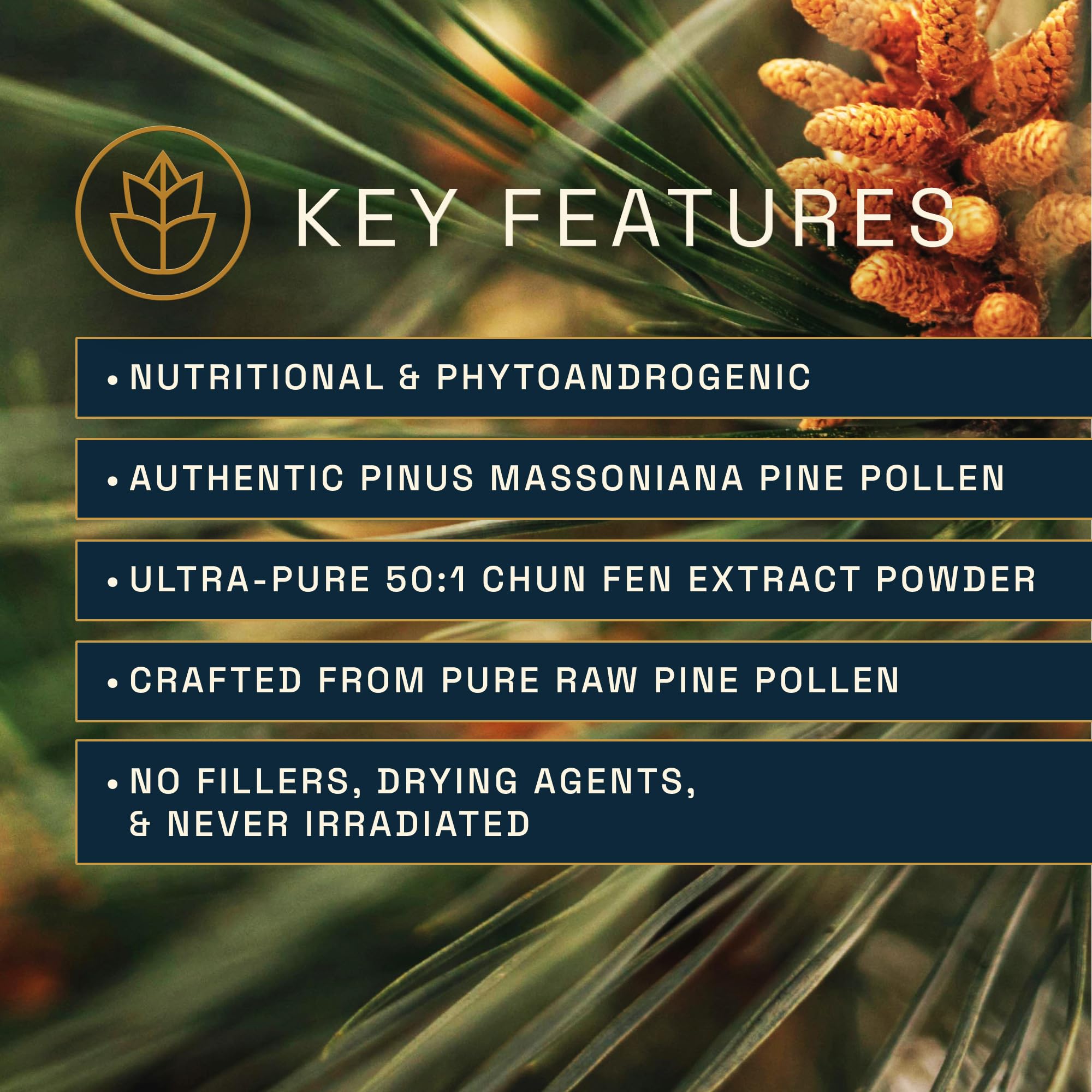 RAW Forest Foods Pine Pollen capsules close-up highlighting premium extract for energy.