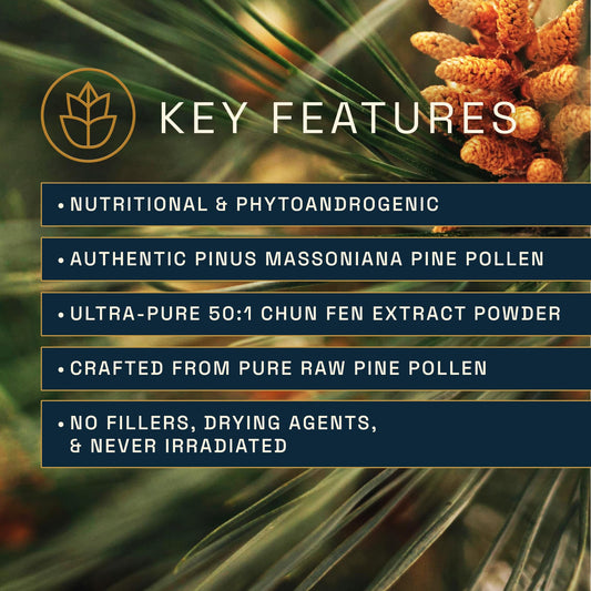 RAW Forest Foods Pine Pollen capsules close-up highlighting premium extract for energy.